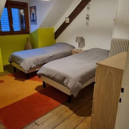 Appartement Centre-Ville Colmar Buitenkant foto