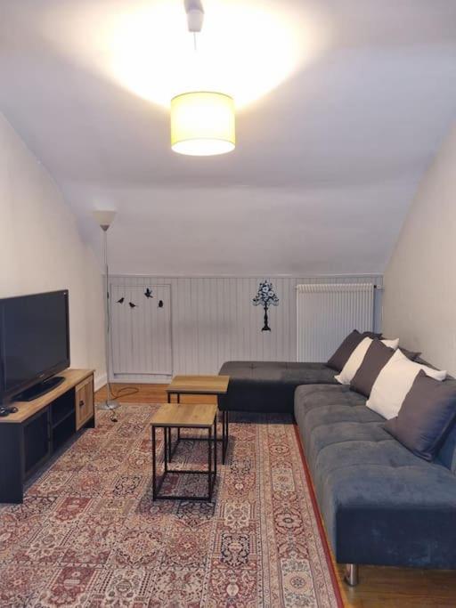 Appartement Centre-Ville Colmar Buitenkant foto